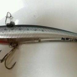 早朝シーバス釣行。底からの巻き上げで1ゲット。